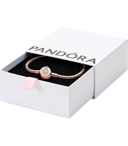 Amazon.com: PANDORA Moments Sparkling Heart Clasp Snake Chain