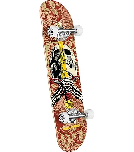 Amazon.com : Powell Peralta Mike McGill Skull & Snake Skateboard