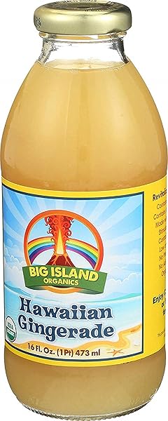 BIG ISLAND ORGANICS ORGANIC GINGERADE, 16 FZ