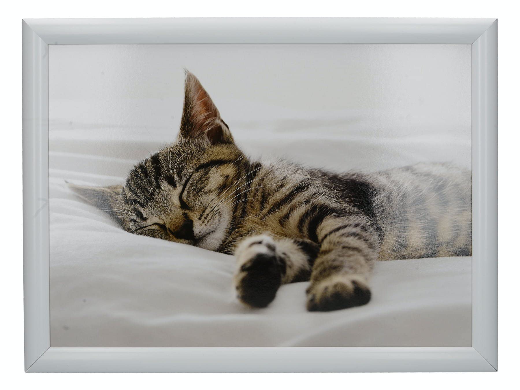 Creative Tops "Kitten" Lap Tray with Cushion, Bean Bag Cushioned, 44 x 34cm, Multi-Colour