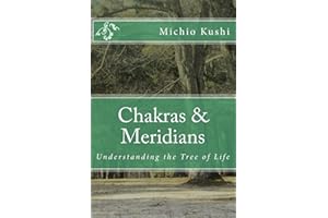 Chakras & Meridians