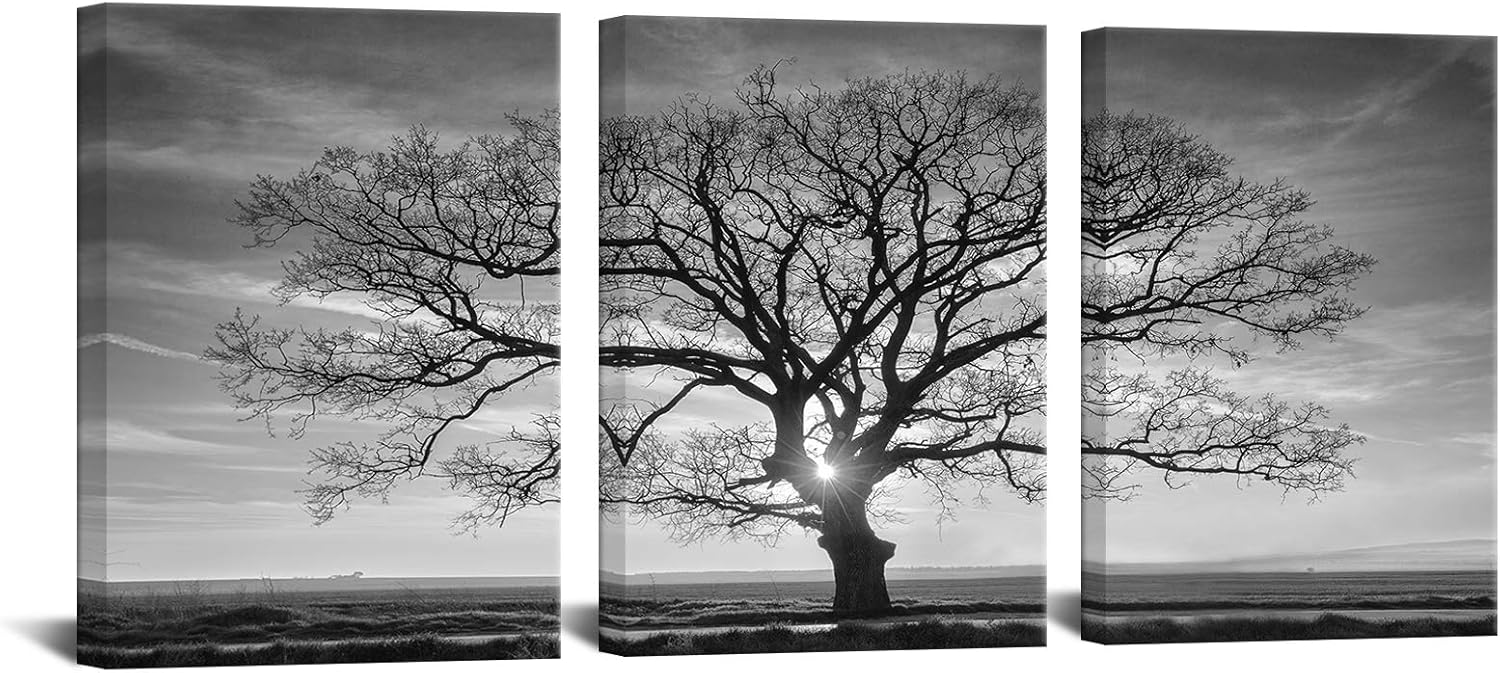 HOMEOART 3 Pcs Tree Canvas Wall Art Black and White Nature Landscape
