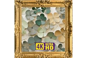 FLOWERS TV ART WALLPAPER SCREENSAVER BACKGROUND VINTAGE FRAMED ART With Smooth Relaxed Sounds