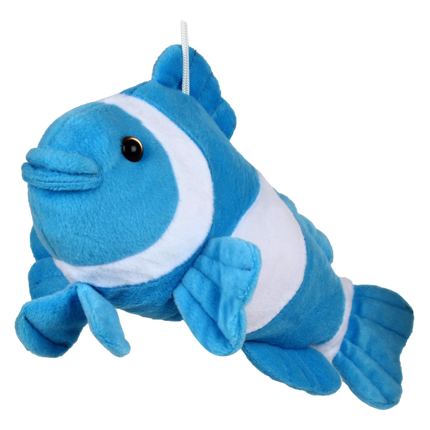 fish teddy
