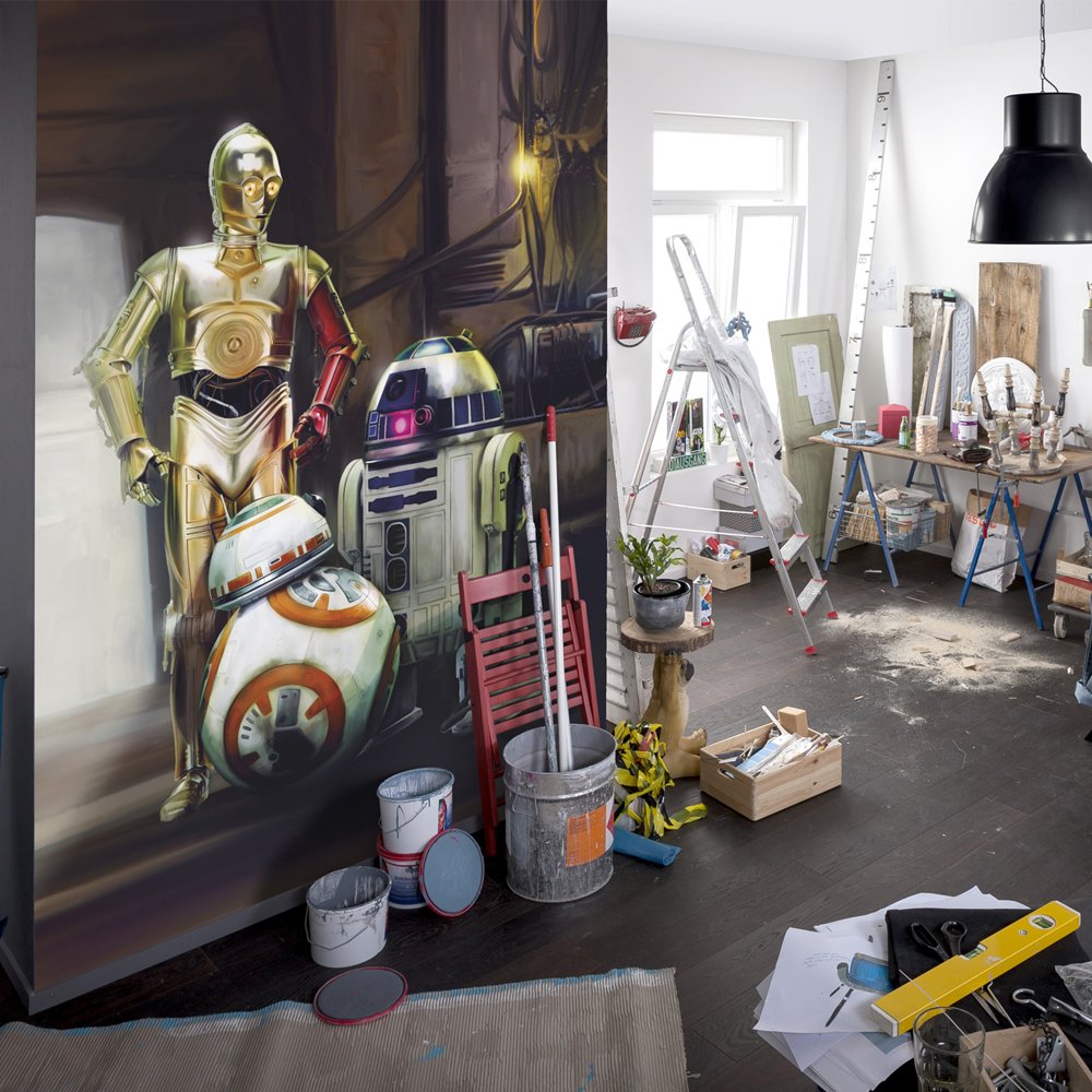 'Komar Photo Wallpaper Three in Star Wars Droids, 1 Piece, SD447