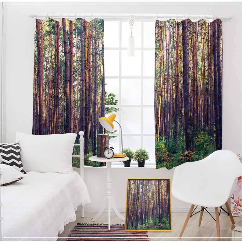 Amazon Com Forest Ultra Luxurious Curtains Forest In The Morning Tall Trees Trunks Greenery Natural Environment Picture Print Basement Window Curtains Dining Room Curtains Green Brown W84 X L90 Inch Home Kitchen