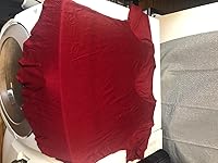 Review Image by User User