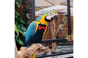 XQIGI Bird Diaper Washable Reusable Parrot Flight Suit Nappies Protective Breathable Parrot Nappy Clothes for Parakeet, Macaw, Budgie, Canary, Cockatiel (Black, XXL)