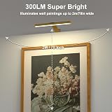 Starxing Wireless Picture Light 2 in 1 Rechargeable with Remote 300LM view 2