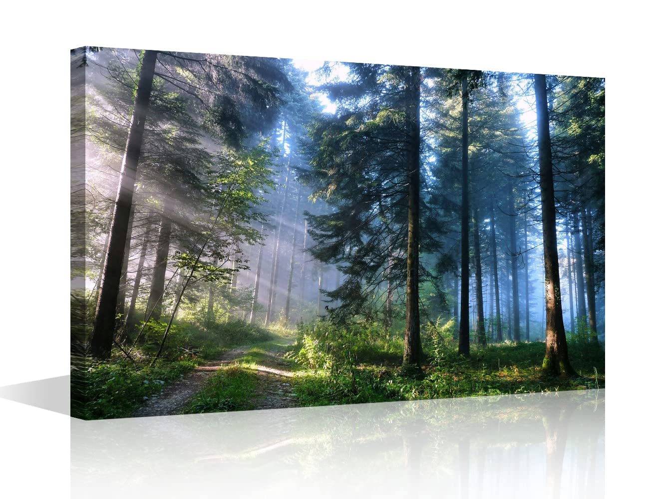 Canvas Print Wall Art Green Forest Early Morning Woods Nature Photography Modern Art Rustic Scenic for Living Room Bedroom Office Decor 8x12inch (20x30cm) — image 1