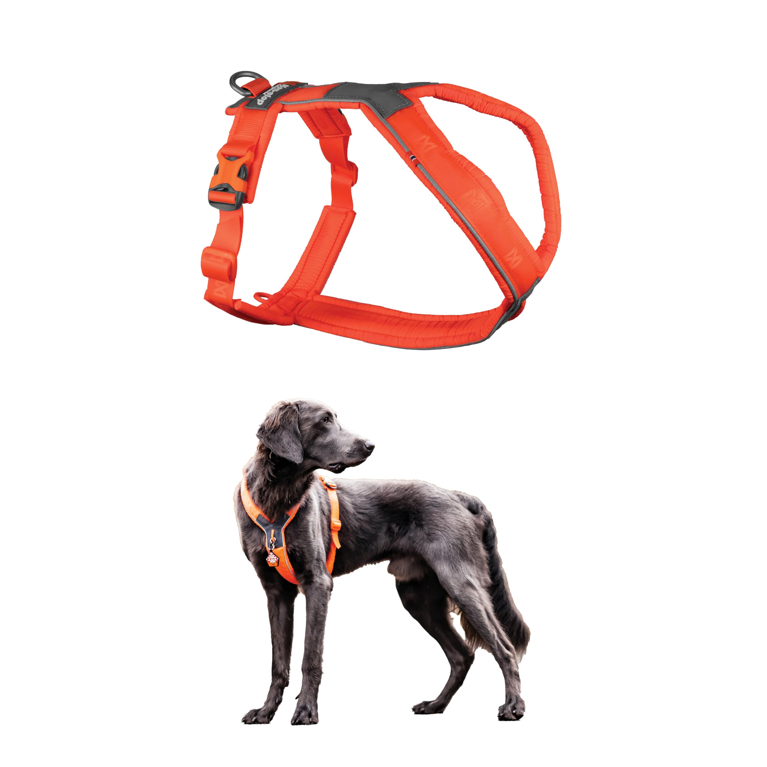 Non-Stop Dogwear Line Harness 5.0, Orange - 2