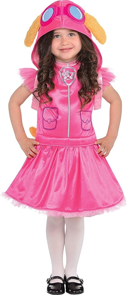 paw patrol dress 4t
