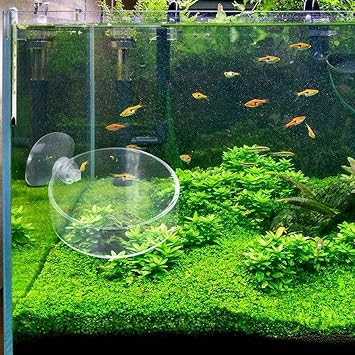 Hergon Aquarium Fish Tank Feeder Shrimp Glass Feeding Bowl Clear