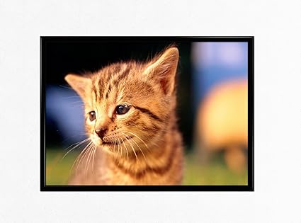 kuuma seksikäs lesbo äiti