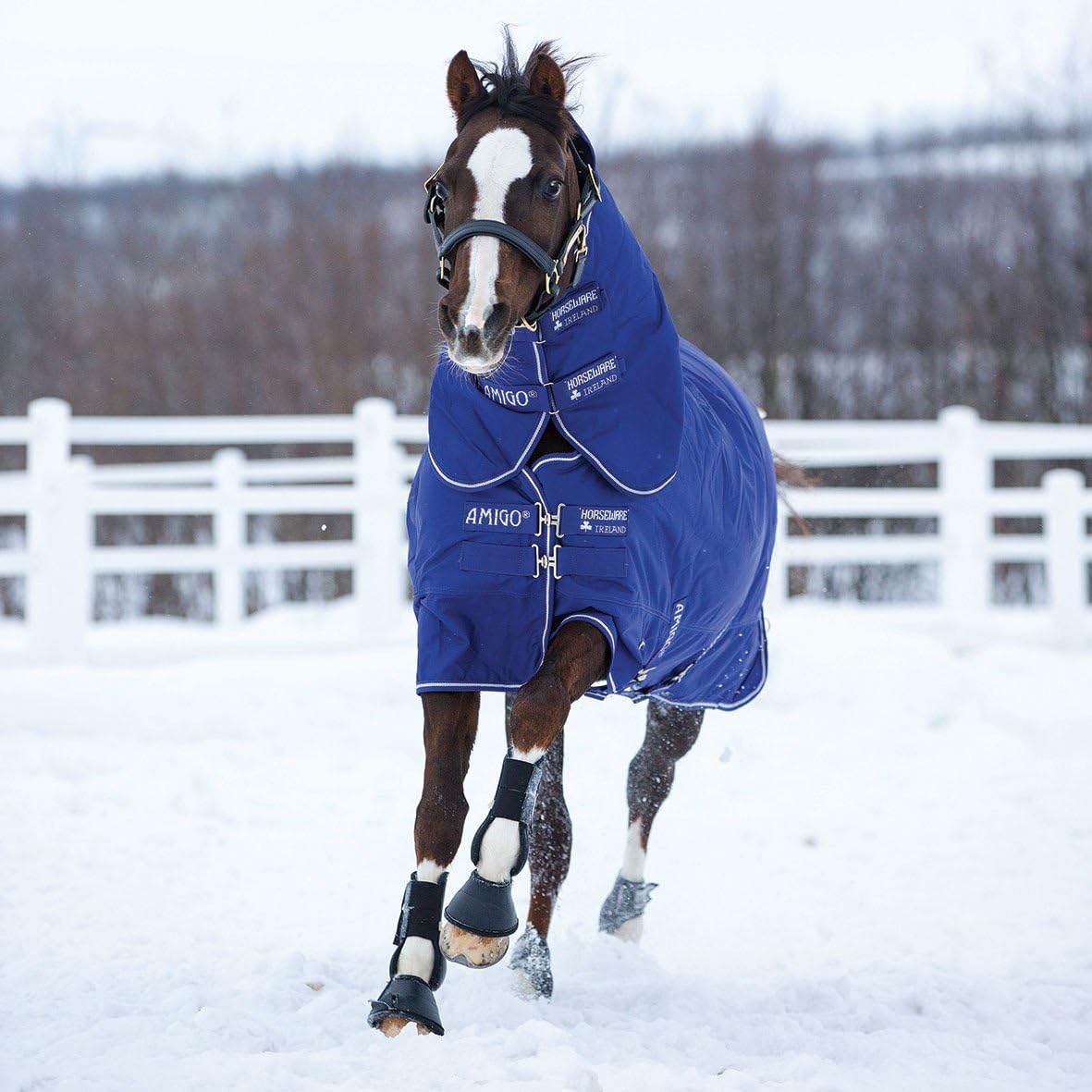 Horseware Amigo Hero 6 Plus Horse Blanket