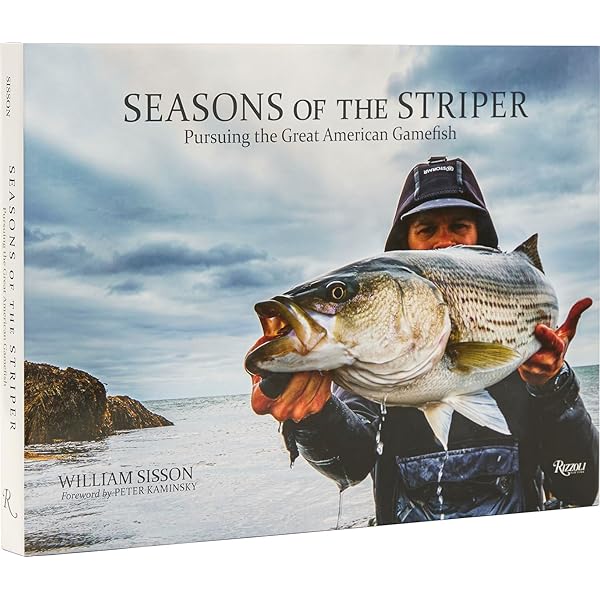 Casting into the Light: Tales of a Fishing Life: Messineo, Janet