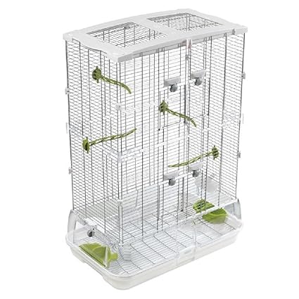 Hagen Vision Cage à Oiseaux Pour Oiseaux Medium Amazonfr