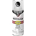 Rust-Oleum 376868 Stops Rust Custom Spray 5-in-1 Spray Paint, 12 oz, Matte Clear