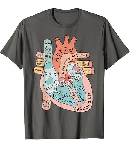 Amazon.com: Human heart lungs anatomy Vintage medical Anatomical