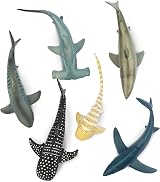 toymany 6PCS 12-14CM Realistic Shark Bath Toy Figurines Sea Animals Set Kids view 2