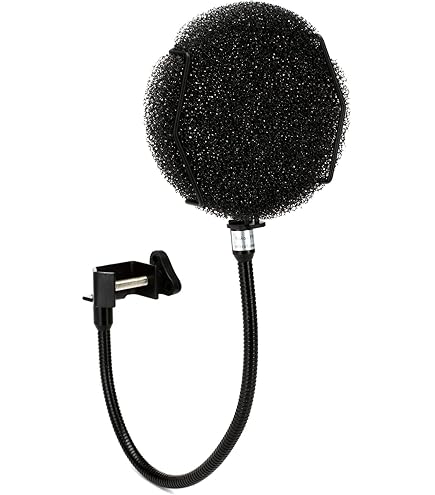 Amazon.com: ISOVOX IsoPop Filter - Bronze : Musical Instruments