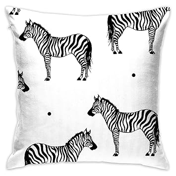 Amazon Com Bbb5 Zebra Print Throw Pillow Cases Covers For Couch