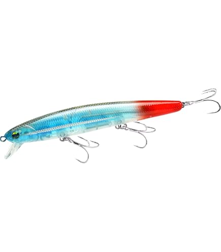 Amazon.com : LUCKY CRAFT FlashMinnow 110, Saltwater Fishing Lures