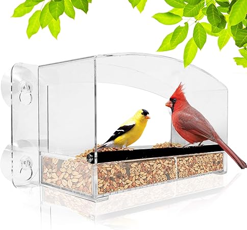 Amazon Com Nature Gear Crystal View Window Bird Feeder Dome
