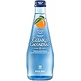Clearly Canadian Orchard Peach Sparkling Water, 11 Fl Oz