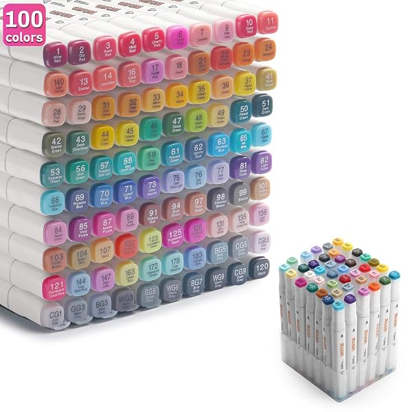 ALCOHOL MARKERS 100 COLORS ART MARKERS PROFESSIONAL ART PEN DUAL TIPS PLUS 1 BLENDER PERMANENT INK FOR PAINTING, COLORING AND DRAWING
