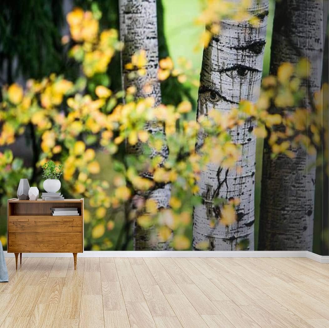 haiilone Photo Wallpaper, aspen tree bark aspens and pictures Canvas