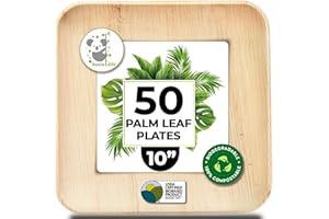 KOALA LOVE Palm Leaf Plates 10 Inch Bamboo Paper Disposable 50 Bulk Dinner Square Party Plates Event Tableware Eco Biodegradable Compostable Wooden Plate Best Alternative to Plastic Plate, By KoalaLove