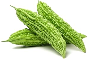 Fresh Green Bitter Melon by RawJoy Farms
