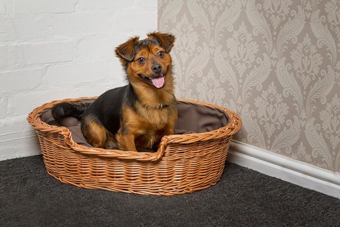 extra large wicker dog basket