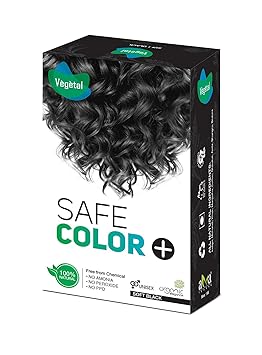Vegetal Hair Color - Black 100 Grams