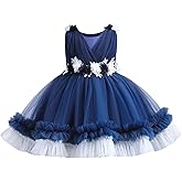 Flower Girl Dress for Toddler Baby Girls Flower Tulle Tutu Dress Infant Formal Pageant Princess Party Birthday Dresses