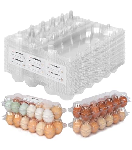 Lot De 12 œufs En Carton Biodégradable - Fenêtre Transparente, Fermeture à Pression, Protection Anti-choc - 5