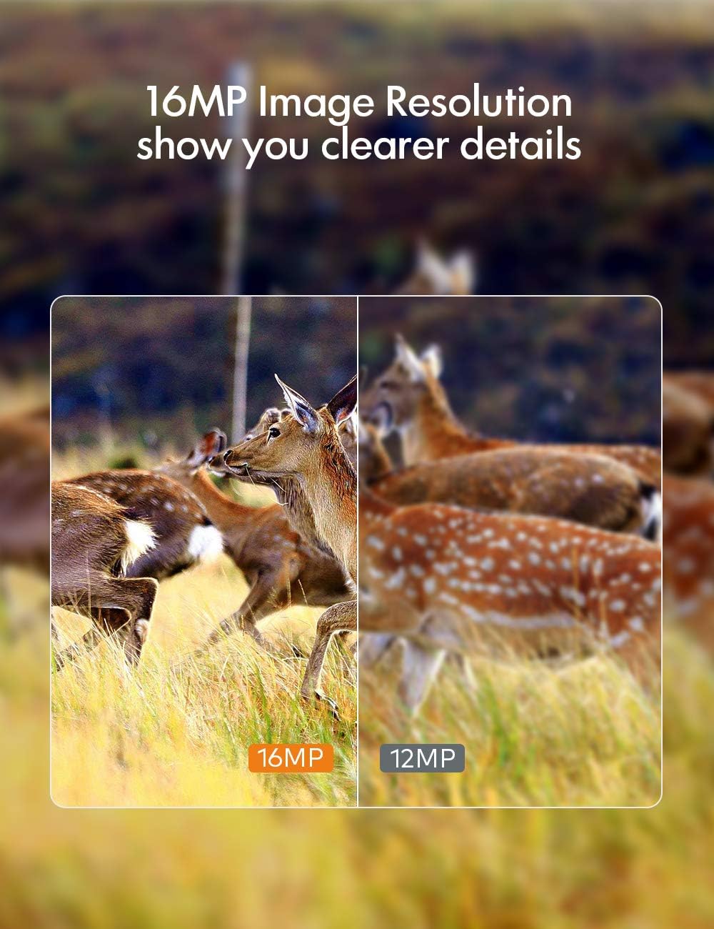APEMAN Trail Camera 16MP 1080P No-Glow Infrared Night Vision Hunting Camera for Wildlife Monitoring, Garden, Home Security Surveillance: Camera & Photo
