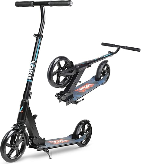 2 wheeled scooter stand up