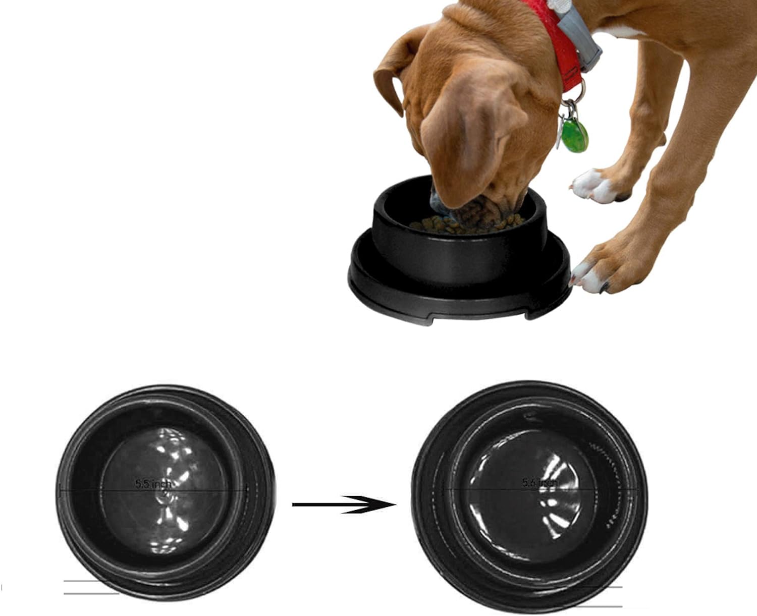 anti ant cat food bowl