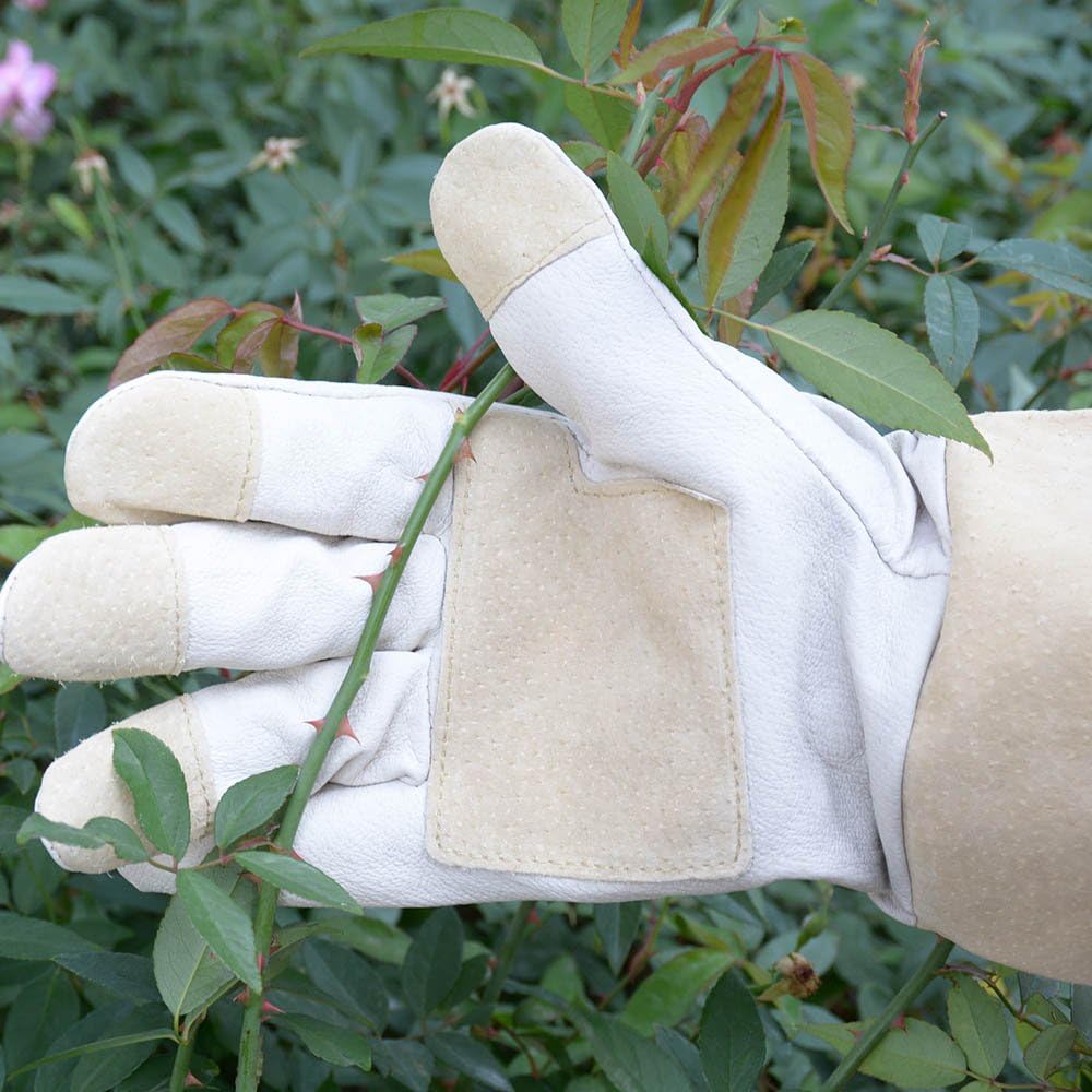 Pruning Gloves Long for Men & Women, Pigskin Leather Rose Gardening Gloves- Breathable & Durability Gauntlet Gloves Medium : Garden & Outdoor