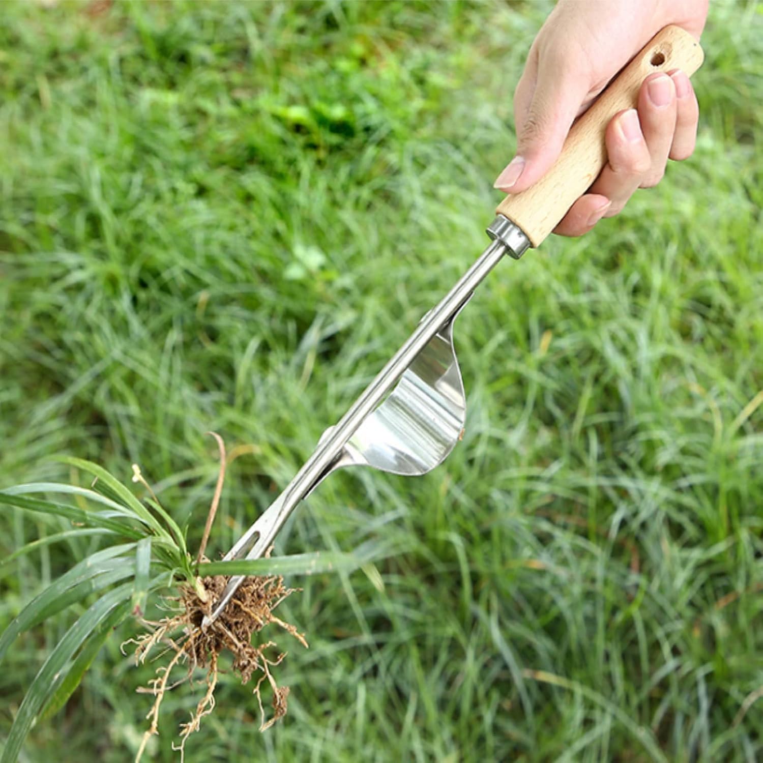 BERNIE ANSEL Garden Weeder Hand Tool, Ergonomic Weeding Tools, Stainless Steel Base - Easy Weed Removal and Deeper Digging for Planting and Weeding V : Garden & Outdoor