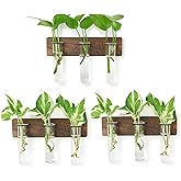 XXXFLOWER Wall Mounted Plant Terrarium with Wooden Stand 3 PCS Hanging Planter Propagation Station with 3 Glass Tubes for Plant Cuttings Flower Vases for Home Office Indoor Decor