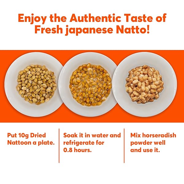 SUNGIVEN FREEZE DRIED NATTO BEANS FERMENTED SOYBEAN NON-GMO VEGAN READY TO EAT JAPANESE SNACK NATTO 3.53 OZ