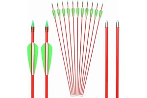 GPP 28-inches Fiberglass Archery Target Arrows - Practice Arrow or Youth Arrow for Recurve Bow