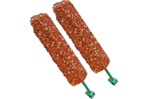 Parakeet Treats Sticks – 2 Pieces Nutritious Bird Snacks, Tasty Chewing and Foraging Food | Reward Training Treats for Myna P