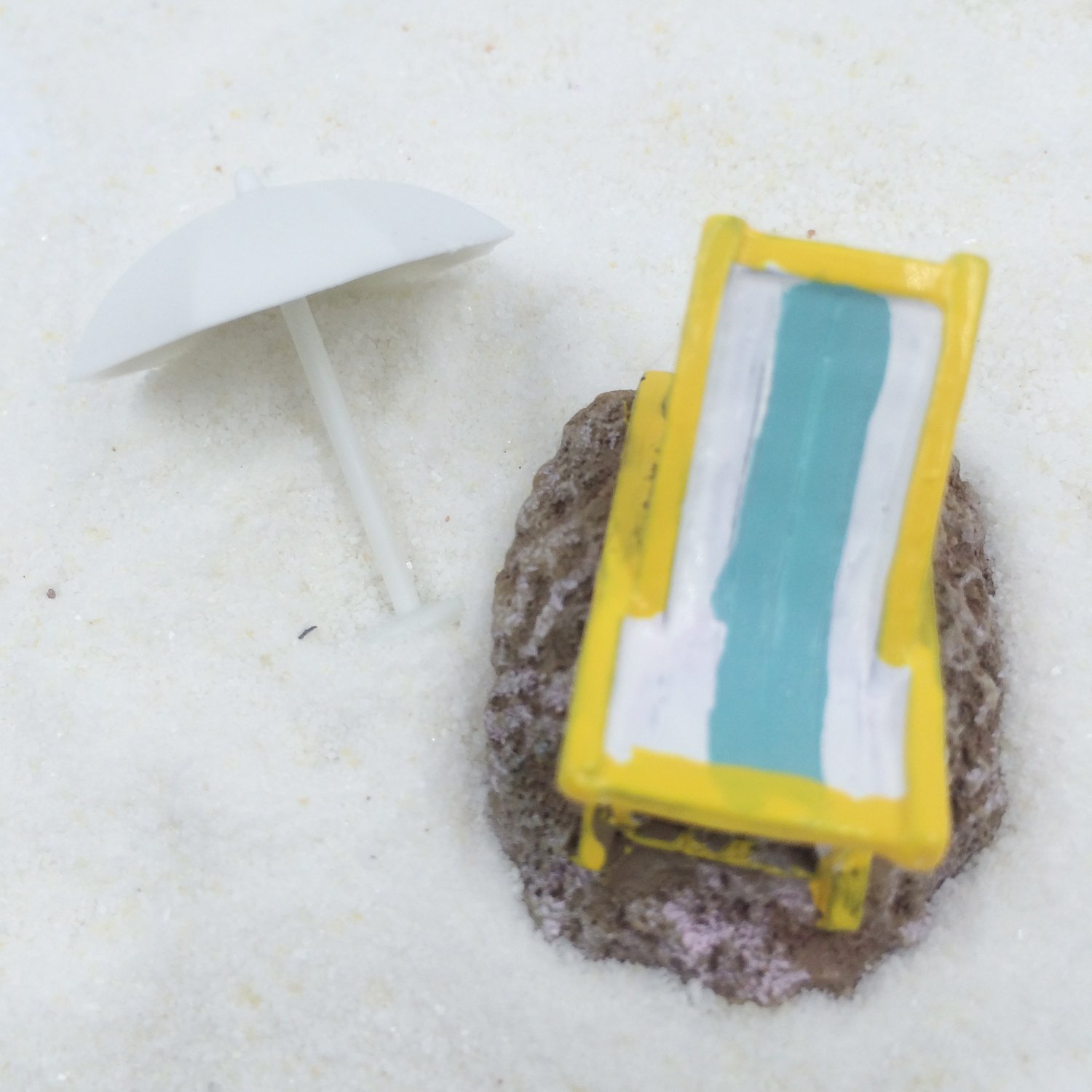 Best fairy garden beach funshowcase