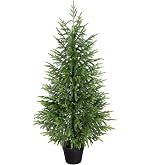 Nafresh 4ft Artificial Norfolk Pine Christmas Tree for Outdoor, 48in Real Touch Faux Norfolk Pine Christmas Tree with Black Pot for Indoor Outdoor Front Porch Home Xmas Decor