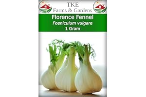 TKE Farms & Gardens - Florence Fennel Seeds for Planting, 1 Gram, 200 Heirloom Seeds, Non-GMO, Packet Includes Instructions for Growing, Foeniculum vulgare, Qty 1