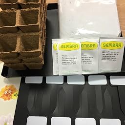 SEMBRA - juego educativo, Kit huerto Flores: Amazon.es: Jardín